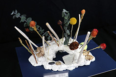 �p���N���G�C�V����2026�N ���g���E�`���C���h�����Ђ�Ă�