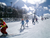 武蔵野東小学校　スキー